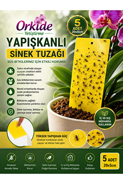 Orkide Yetiştirme Saksı Tipi Yapışkanlı Sinek Tuzağı