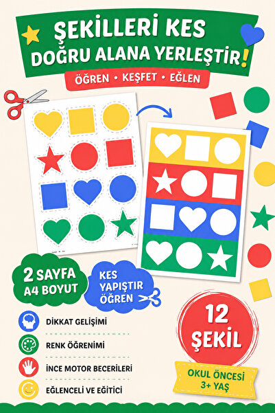 Organik Yolda Shape and Color Matching (12 Shapes)