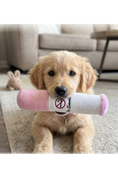 toysme Plush Dog Toy Pink - Puro Tasarım Squeaky and Sound-Resistant Bite-Res...