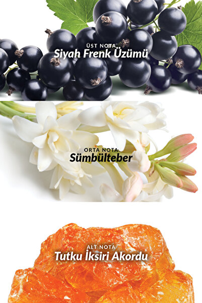 AVON عطر أتراكشن أويكن بحجم 10 مل