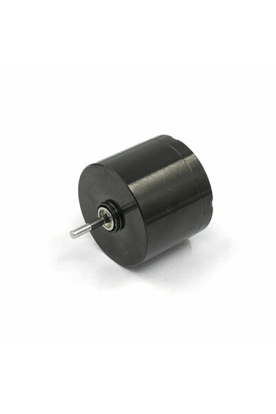 mucize DC 12V Yüksek Hızlı Motor Mini 20mm Büyük Çekirdeksiz Motor Dövme Döne...