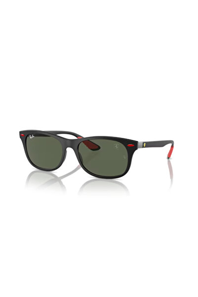 Ray-Ban Sunglasses Rb4607M 55 F60271