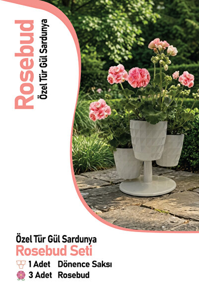 Gardina Dekoratif Saksılı Sardunya Seti Rosebud