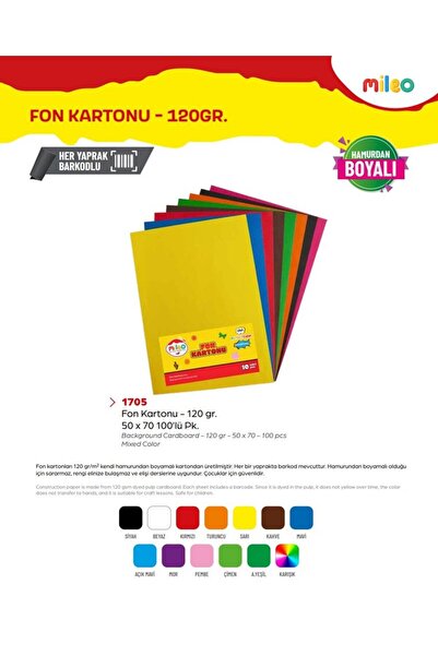 Mas Mileo Background Cardboard 120Gr 50X70 Pack of 100 Black Painted on Paper...