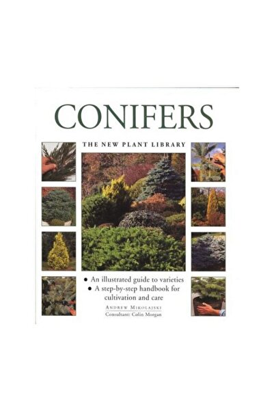 Anness Publishing Conifere