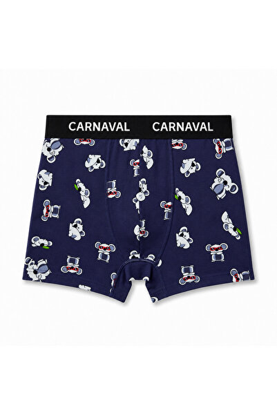 CARNAVAL SOCKS CARNAVAL Bumbac premium cu model Koala pentru bărbați boxeri -...