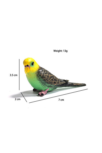 Choice1 Green Mini Cute Simulated Parrot Children's Ornament Toy Animal Model...