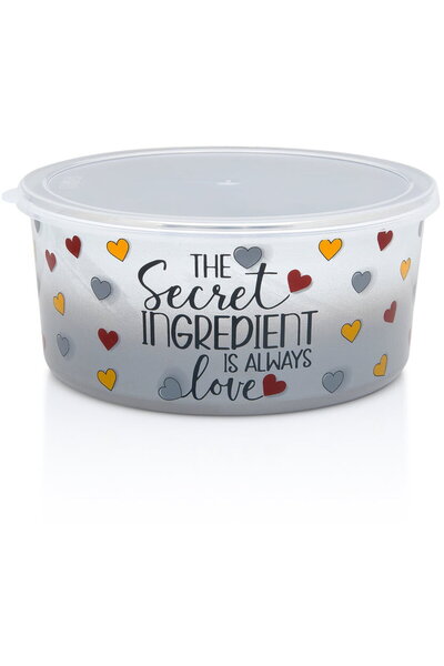 Metalac Recipient cu capac Secret Ingredient Metalacemail, 20cm, 2.6l