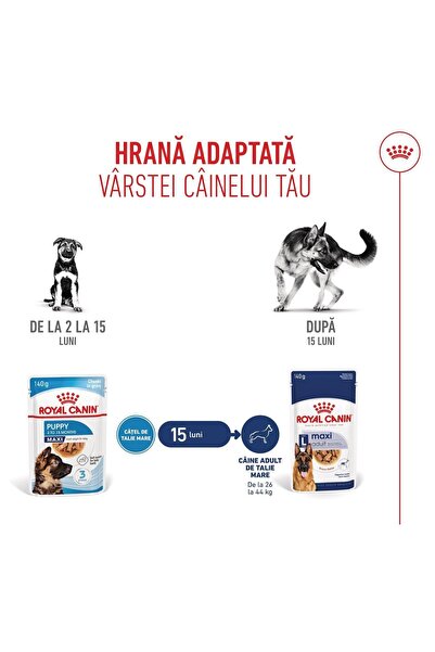 Royal Canin Hrană umedă pentru căței Maxi în pliculețe cu sos 10 x 140 g