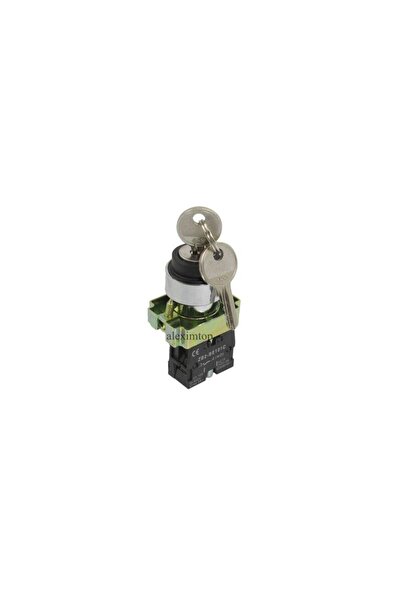 Stef's Cat Buton Motor cu Cheie ON/OFF/ON, BG33,