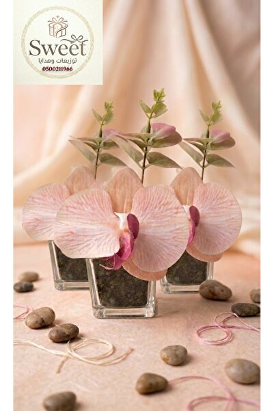 Sweet فازة ورد صناعي زجاجية ميني ( اوركيد و أوكالبتوس ) مقاس 5*5 سم عدد ( 3 ق...