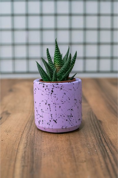 PAYATASARIM Concrete Office Set Pen Holder Planter Oval Tray Cactus