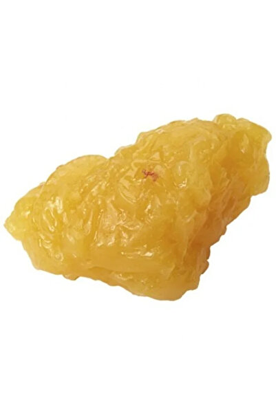 EgeAnatomi Maketleri Yağ Replikası 0.50 kg