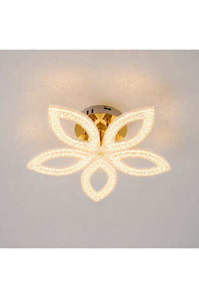 M Mediyamu Aydınlatma Modern LED Plafonyer Avize 5 Oval Başlıklı Gold Renk – ...