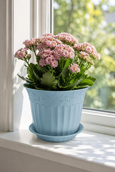 Alezy AS153 Renkli Dekoratif Antik Çiçek ve Bitki Saksısı 2.5 Litre 4'lü Set
