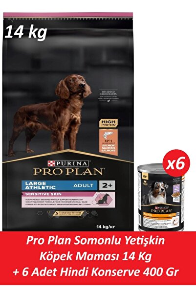 Pro Plan Somonlu Yetişkin Köpek Maması 14 Kg + 6 Adet Hindi Konserve 400 Gr