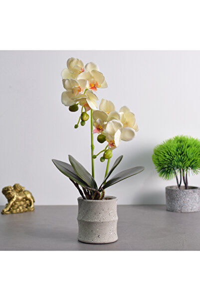 Naimeed Company Orhidee decorativă în ghiveci ceramic, 35 cm, Naimeed D4849, Galben