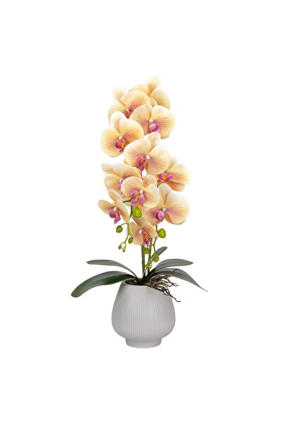 Naimeed Company Orhidee decorativă în ghiveci ceramic, 80 cm, Naimeed D6905, ...