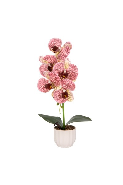 Naimeed Company Orhidee decorativă în ghiveci ceramic, 42 cm, Naimeed D6879, Roz