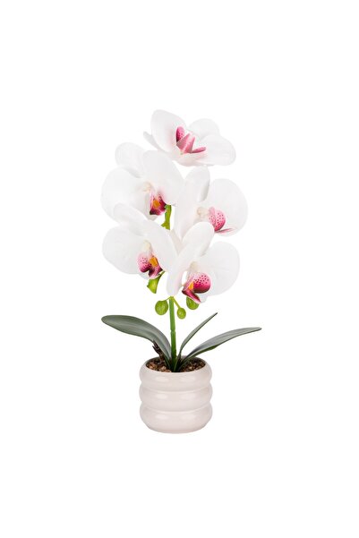 Naimeed Company Orhidee decorativă în ghiveci ceramic, 40 cm, Naimeed D6887, Alb