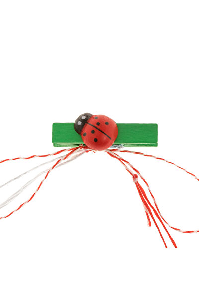 OEM Wooden Ladybug Martisor