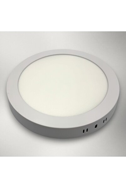 DELIGHT Spot Led aplicat Ã˜300, 24W=200W, 2700K, lumina calda