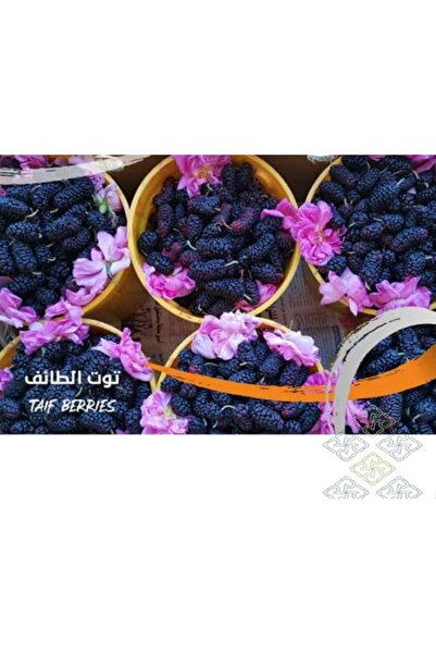 GENERAL بطاقة فنية رقمية من توييف مولبيري | بطاقة صور فنية رقمية من توييف مول...