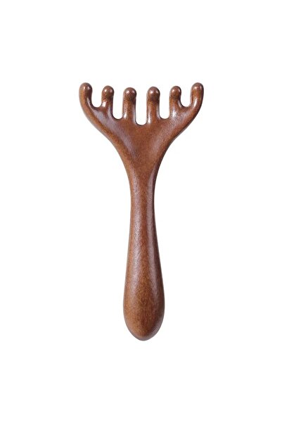 Choice1 1Pcs Lymphatic Contour Face Brush & Wooden Meridian Massage Comb Anti...