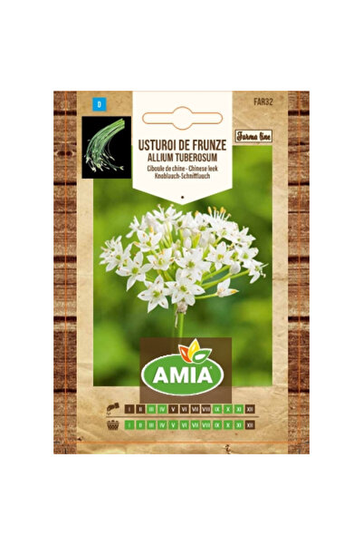 Amia Seminte de usturoi de frunze, Farma Line, Allium tuberosum
