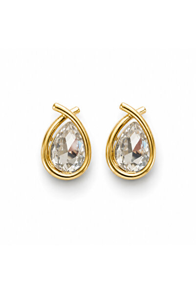 Venus Design Steel Tola Earrings