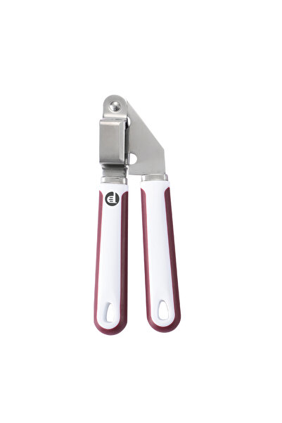 Perfect Kitchen Galic Press Stainless Steel Handle Plastic