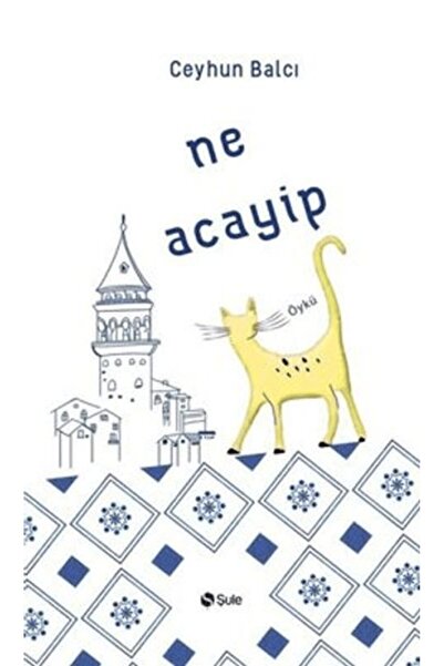 Şule Yayınları Ne Acayip