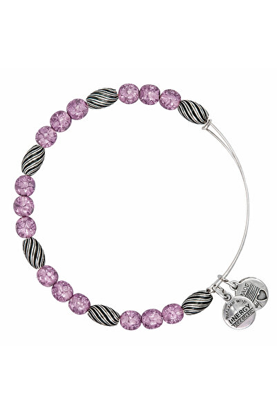 Alex and Ani Bratara Metal A12EB158RS
