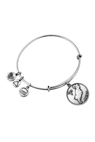 Alex and Ani Bratara Metal A13EB01ARRS