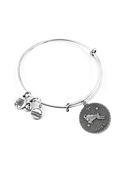 Alex and Ani Bratara Metal A07EB40ARRS