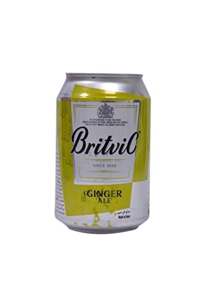 Britvic Premium Dry Ginger Ale Soda Mixer 330ml