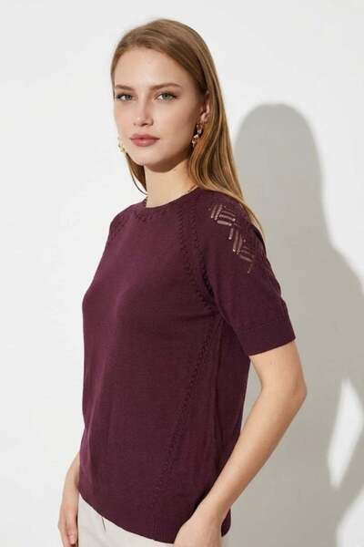 Irmak Kerekli Women's Crew Neck Short Sleeve Openwork Detailed Knitwear Blouse 1550 Plum