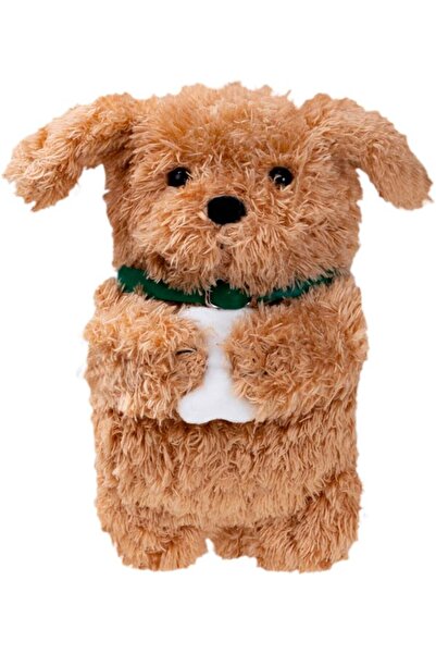 Laut Portofel MAGMOJI - compatibil cu MagSafe (Ginger Dog)