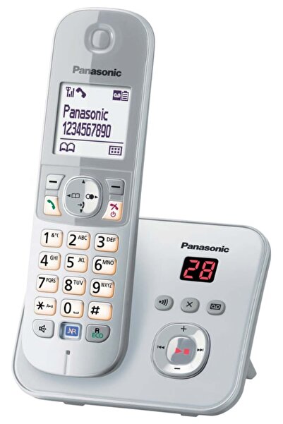 PANASONIC KX-TG6821GS argintiu perlat