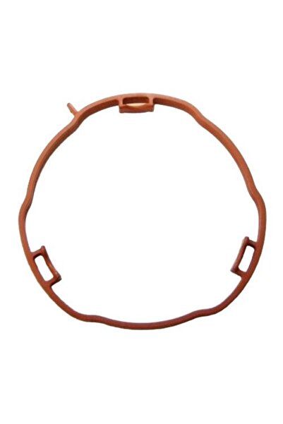 OEM Garnitura galerie de admisie, Elring, 456.960