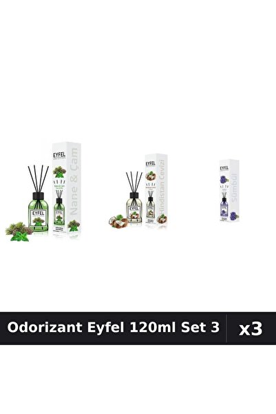 Eyfel Set 3 Odorizante Camera cu Betisoare 120ml - Pin Menta, Nuca Cocos, Zam...