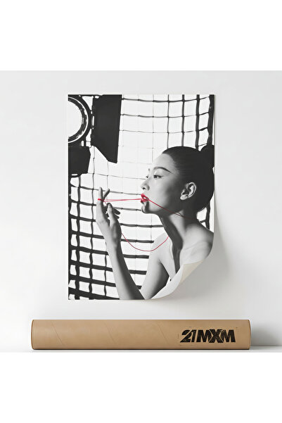21mxm Poster Decorativ Tematică Studio Windows - 'Lace Silhouette', Material ...