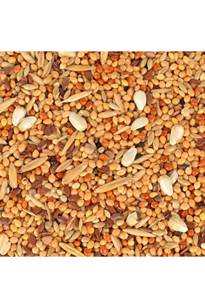 Yıldızan Terra Organik Quik Thawing Budgie Food 150 g Terra Organik 1025782