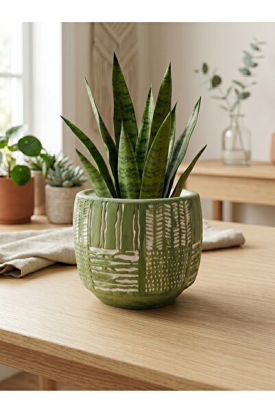 mora store Iskandinav Saksı Bohem Tarz Dekoratif Yeşil 12,5x11 cm Beton Saksı