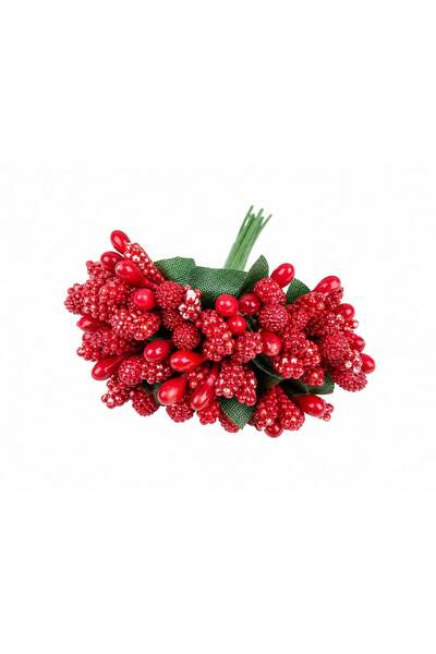 OEM Artificial Stamens 144/ Top Bottom Set Red