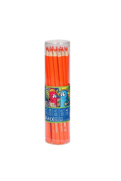 OEM Top Bottom Set of 24 colored pencils TTS SPIRIT, orange