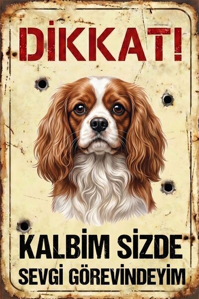 Iron Paws Dikkat Köpek Var - Cavalier King Charles Spaniel Uyarı Levhası - Pa...