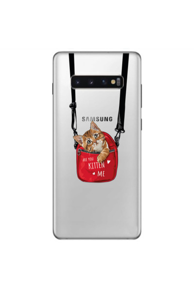Other Samsung S10 Plus Are you kitten Transparent Silicone TPU Θήκη
