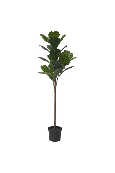 FEJKA artificial plant in pot, indoor/outdoor Ficus lyrata, 19 cm
