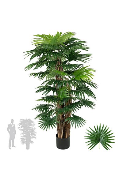 Roberto Rossi Palmier artificial H180cm Chamaerops humilis cu 48 frunze